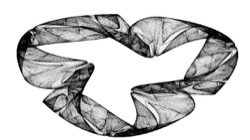 image: image from bw attractor