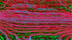 image: image from head abstraction