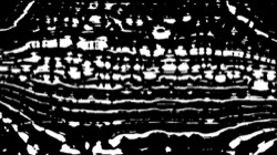 Image: image from screen