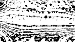 Image: image from screen