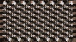 image: image from t1