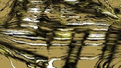 image: image from t1