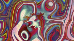 image: image from new 8