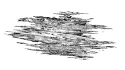 image: image from z test 2