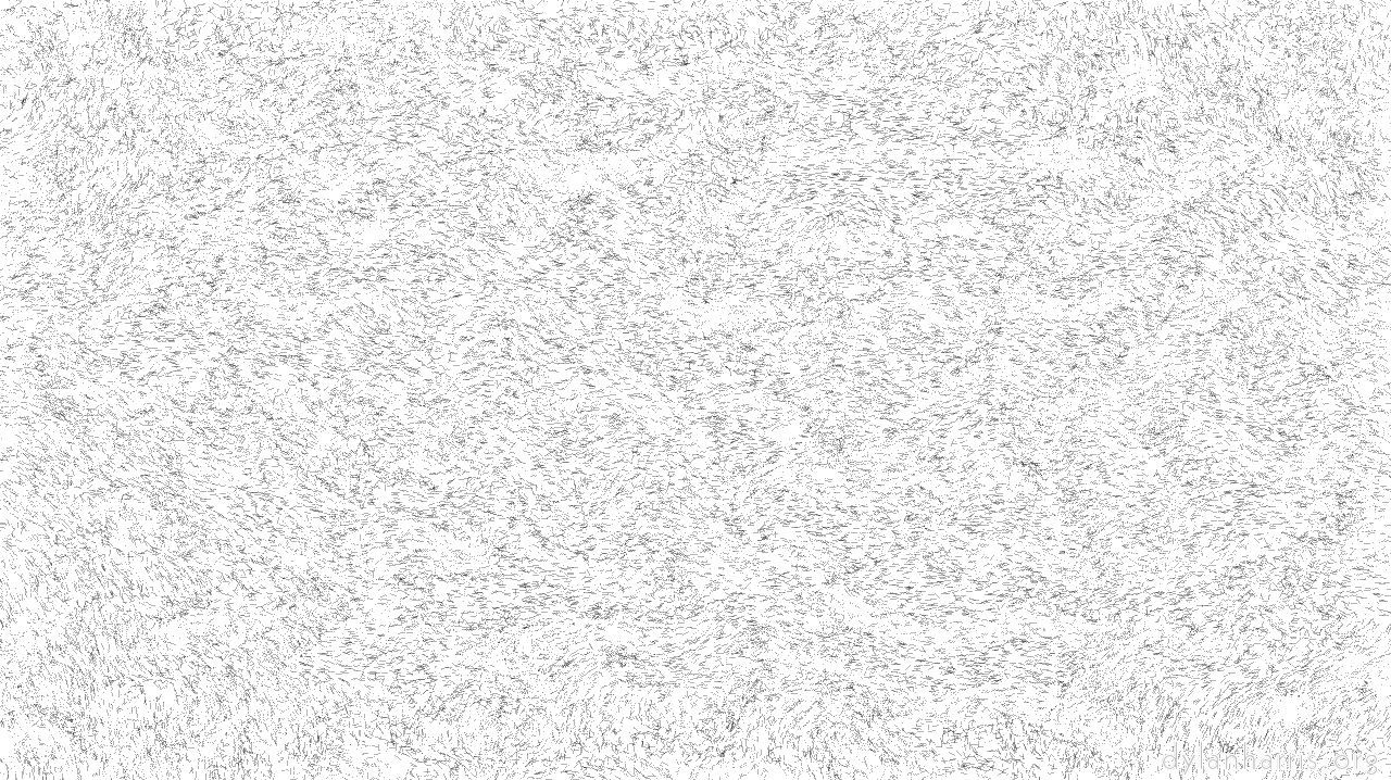 Image: bw hatch :: bxtxdisplacemod1