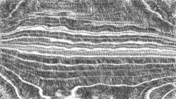 Image: image from bw hatch