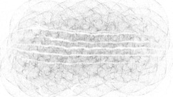 Image: image from bw hatch
