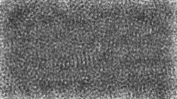 Image: image from bw hatch
