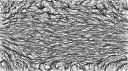 Image: image from bw hatch