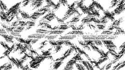 image: image from bw hatch 1