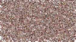 image: image from materials