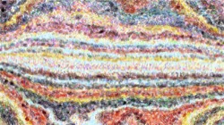 image: image from movie brush 2