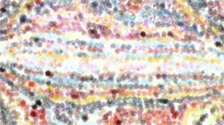 image: image from movie brush 2