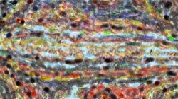 image: image from movie brush 2