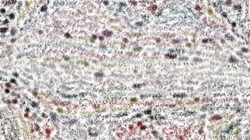 Image: image from texture strokes