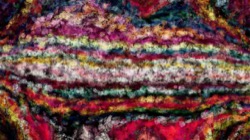 image: image from cloners 1
