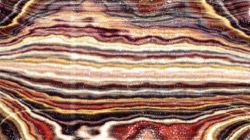 image: image from cloners 1