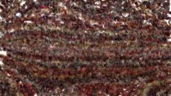 image: image from cloners 4