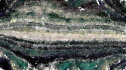 colour effects :: capecodbristler1