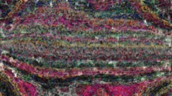colour effects :: opponentcloner1