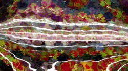 colour effects :: strangecolourer1