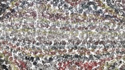colour effects :: whipitsubduedcolour