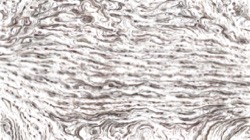 liquid cloners :: runny1