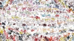 image: image from oils wet