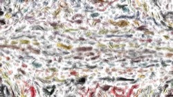 image: image from oils wet