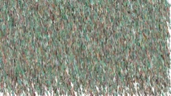 particles :: particlesasnibsex2b