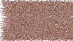 particles :: thicket1