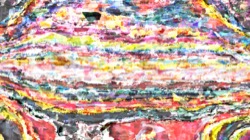 image: image from regions auto drawn