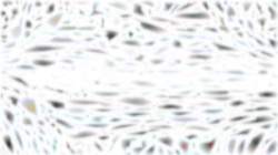 regions mutual drawn :: softopponentgradient2