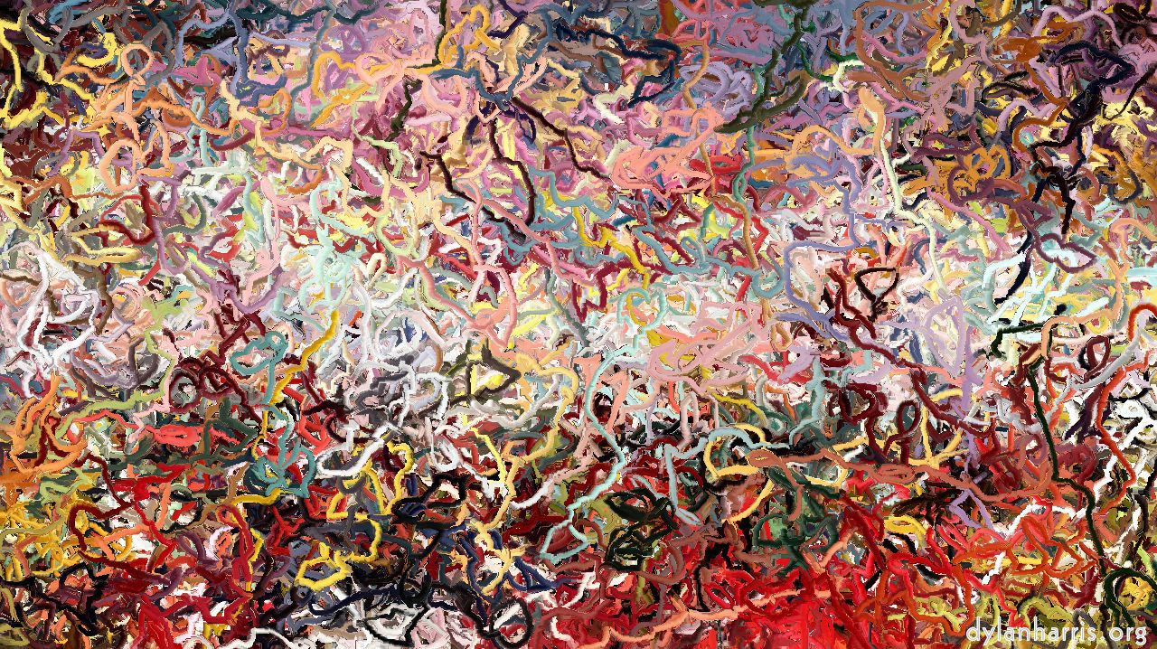 wildwebs1