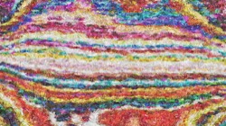 textures :: hardntextured1