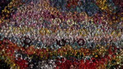 image: image from active