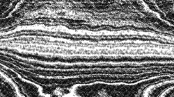 image: image from bw hatching