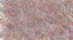 fizzy :: effervescent3
