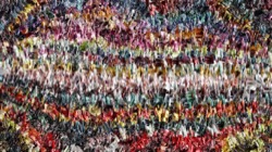 image: image from gradient multinibs