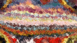 image: 3.5 collection thumbnail