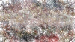 image: image from gel paint