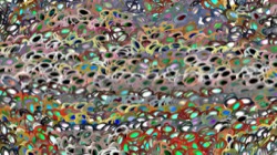 image: image from gridscan exps 2