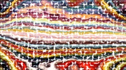 image: image from gridscan exps 2