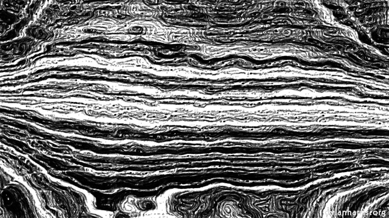 image: pencil sketch :: sketchrough6