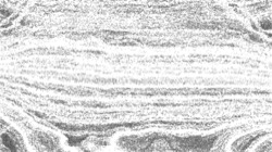image: image from pencil sketch