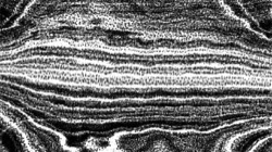 image: image from pencil sketch