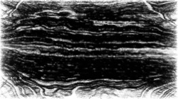 image: image from procedural abstraction exp
