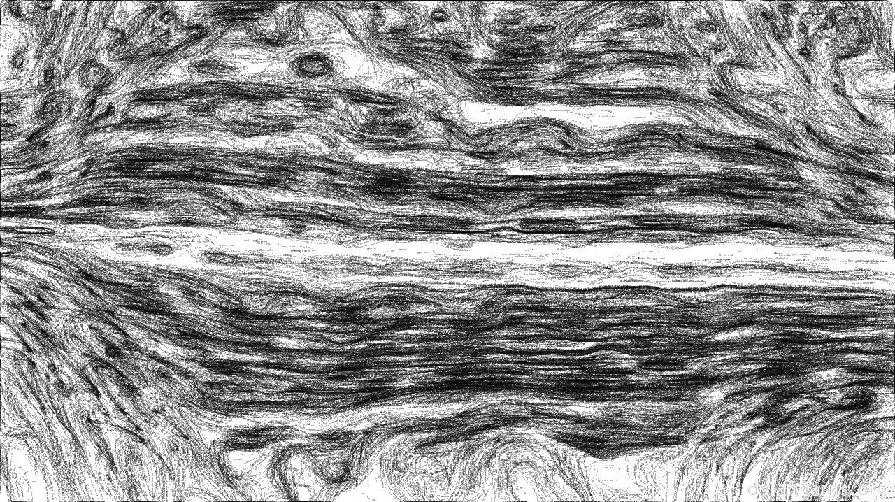 sketch4
