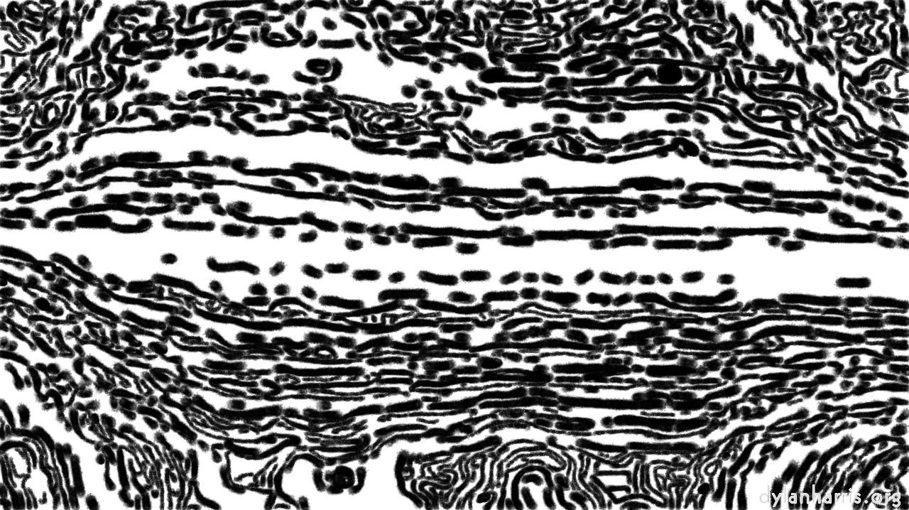 image: auto draw styles :: bwridger2
