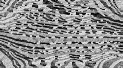bk movie texture exp 1 :: orientabstraction1